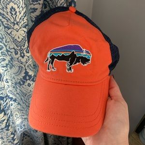 Patagonia Trucker Hat / Snap Back
